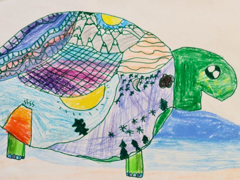 Student art of a turtle